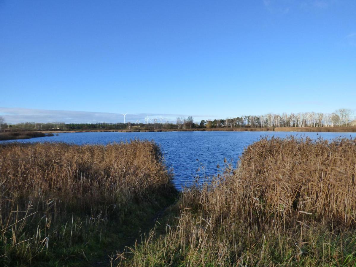 Uckermark "Ferienwohnung Sommerfugl " Passow  المظهر الخارجي الصورة