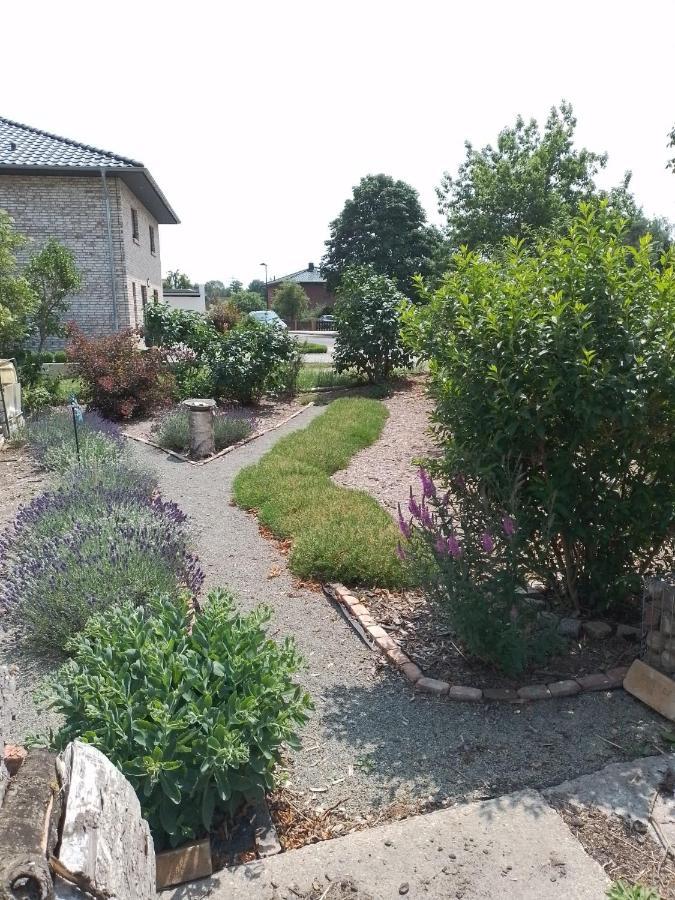 Uckermark "Ferienwohnung Sommerfugl " Passow  المظهر الخارجي الصورة